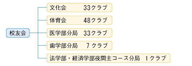 校友会は、文化会35クラブ、体育会50クラブ、医学部分局34クラブ、歯学部分局7クラブ、法学部・経済学部夜間主コース分局1クラブ